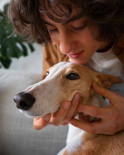 mascotas_perros_gatos